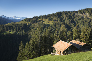 Fototapeta na wymiar Schweiz, Landschaft bei Frutigen