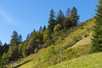 Fototapeta na wymiar Schweiz, Landschaft bei Frutigen