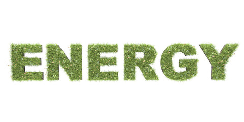 3D rendering of enegy text with grass