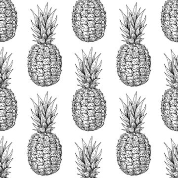 Vector hand drawn pineapple seamless pattern. Tropical summer fruit engraved style illustration.