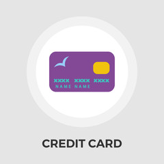 Credit Card Vector Flat Icon