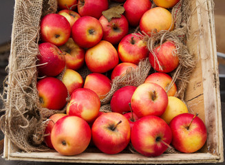 Red ripe apples in wooden box