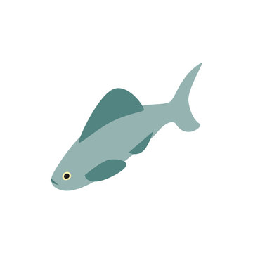 Shark icon, isometric 3d style