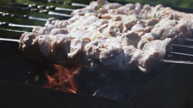 frying fresh juicy shishkebab at the open fire on skewers on the brazier. Super slow motion shot. Green grass and trees on Background. High-speed camera close-up shooting.