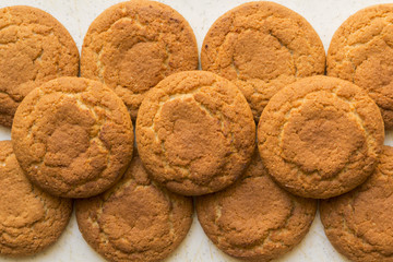 fresh oatmeal delicious round cookies close-up big group