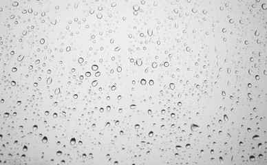 Water drop on white background