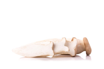 King Oyster mushroom (Eringi) on white backgroud
