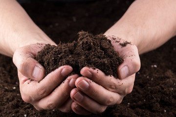 Soil in hands
