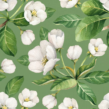 Seamless pattern with watercolor illustrations of apple flowers