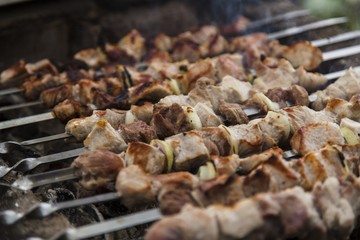 Barbecue skewers with meat