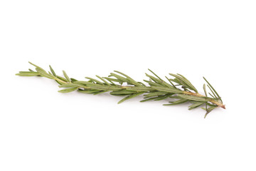 Fototapeta premium rosemary isolated on white background