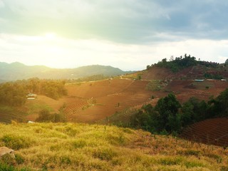 Mountain agriculture or Mountain Farming at Chiang Mai in the north of thailand