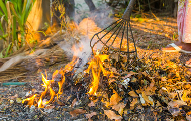 Burning garbage