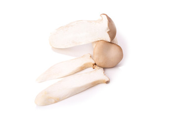 King Oyster mushroom (Eringi) on white backgroud
