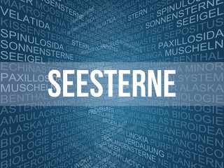 Seesterne