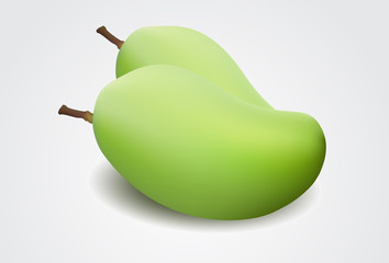 Green mangoes isolated on a white background