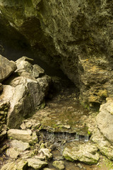 Cave Stream / A stream flowing out of a cave.