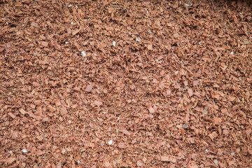 Closeup shot of wood chips in a pile.