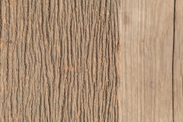 Fototapeta premium wood texture,old wood abstract background