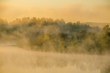 morning fog. around the lake grow birch .