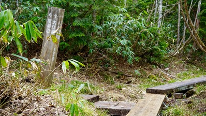 大江湿原からの道と尾瀬沼ヒュッテからの道、小淵沢田代湿原の分岐