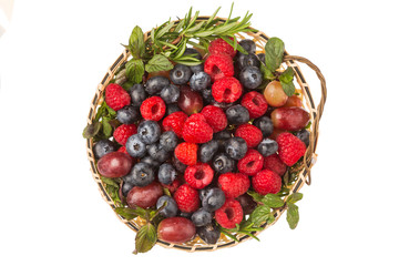 きれいなベリー　 A blueberry and cranberry