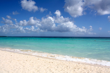 Fototapeta na wymiar Beach in the Caribbean