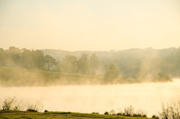 Fototapeta na wymiar morning fog. around the lake grow birch .