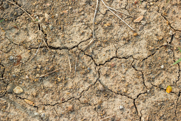 Fototapeta premium Close up of muddy