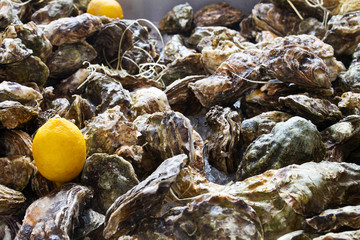 Oysters and lemon. Street food