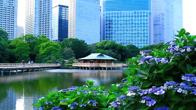 Tea house with Shiodome's skyscrapers in the background.