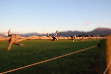 barb wire in front of mount hutt