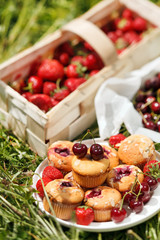 summer muffins