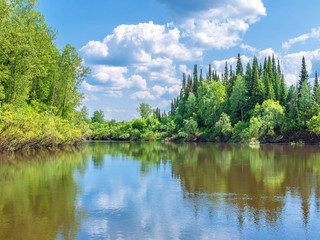 Obraz premium Siberian taiga.