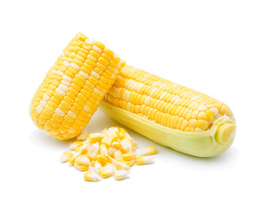 An ear of corn isolated on a white background