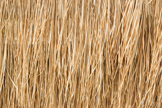 Close up yellow straw wall texture backgrond