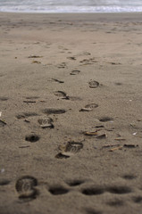 Fototapeta na wymiar tracks, sand, grit
