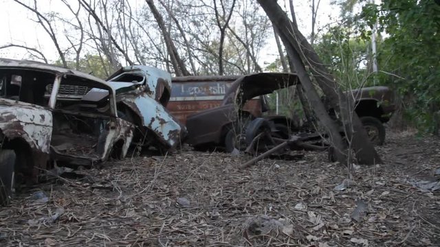 Vintage car shed