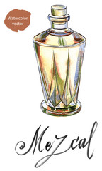 Mexican drink "Mezcal" from agave cactus