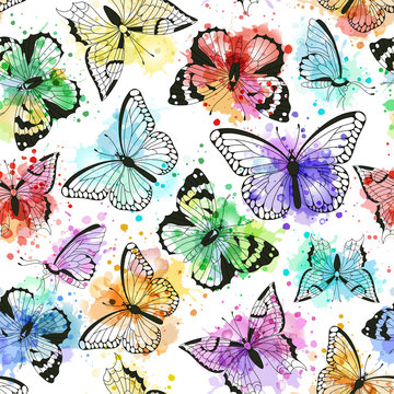 1,175,651 BEST Butterflies IMAGES, STOCK PHOTOS & VECTORS | Adobe Stock