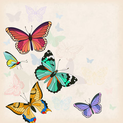 Vector card with butterflies