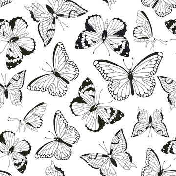 Seamless pattern with contours of butterflies