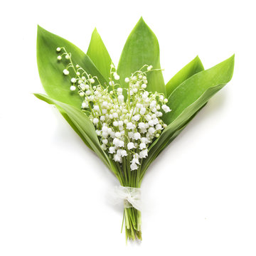 Fototapeta Bouquet of lilies of the valley on whiteу background