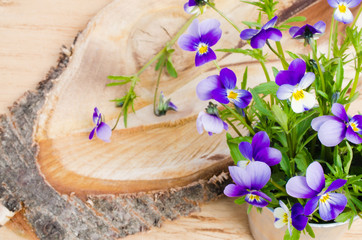 Spring flowers. Bouquet of spring flowers on a cut tree. Card with spring flowers.