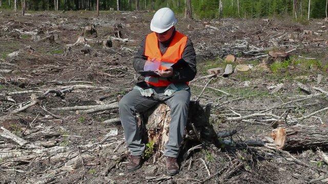 Environmental inspector writing in the destroyed forest