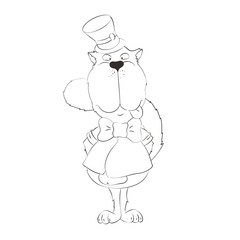 Impudent, fat cat. Drawing in comic style.
