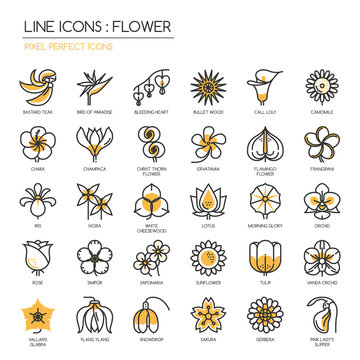 Flower, thin line icons set , Pixel perfect icons