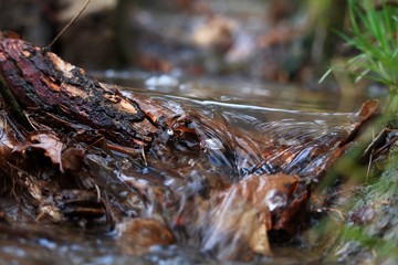 Small brook
