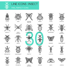 Insect , thin line icons set ,pixel perfect icon