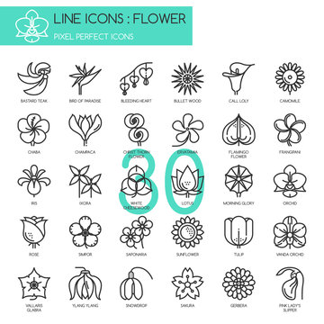 Flower, thin line icons set , Pixel perfect icons